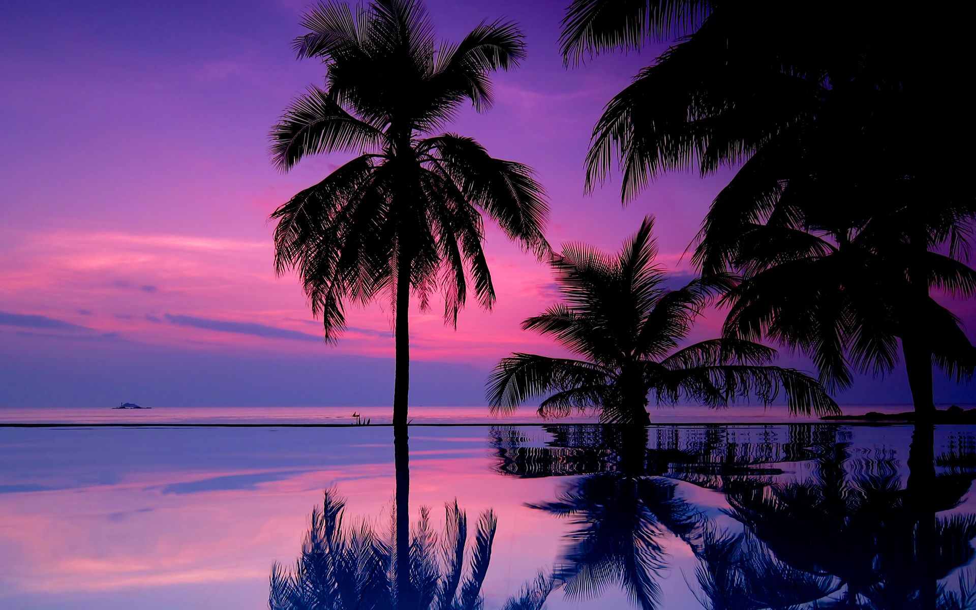 Purple Sunset Beach Wallpapers