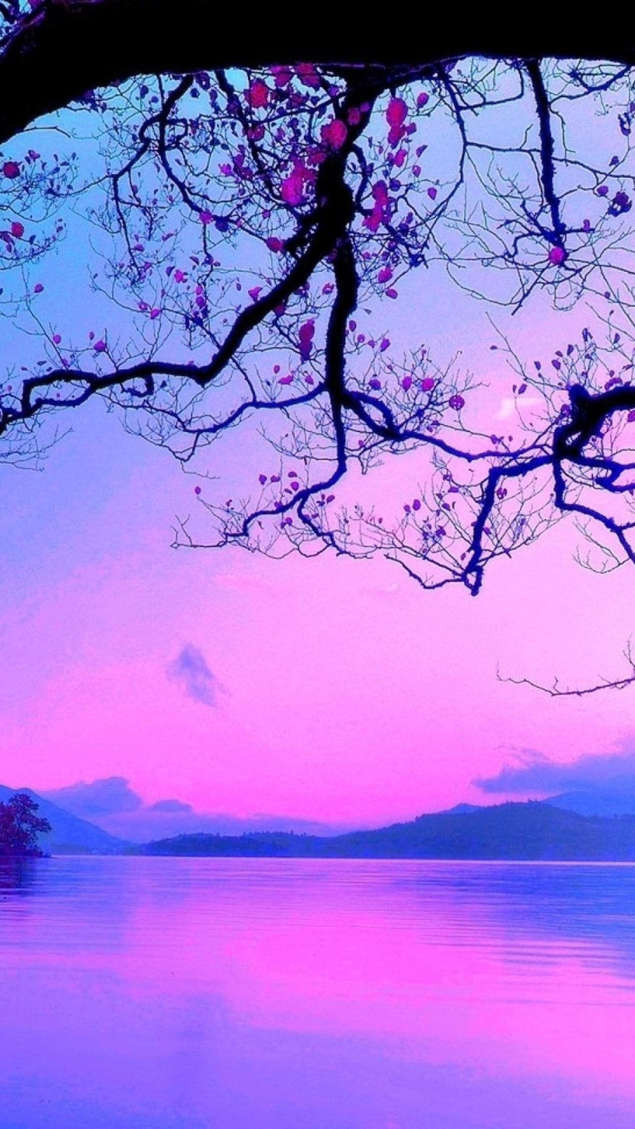 Purple Sunset Beach Wallpapers