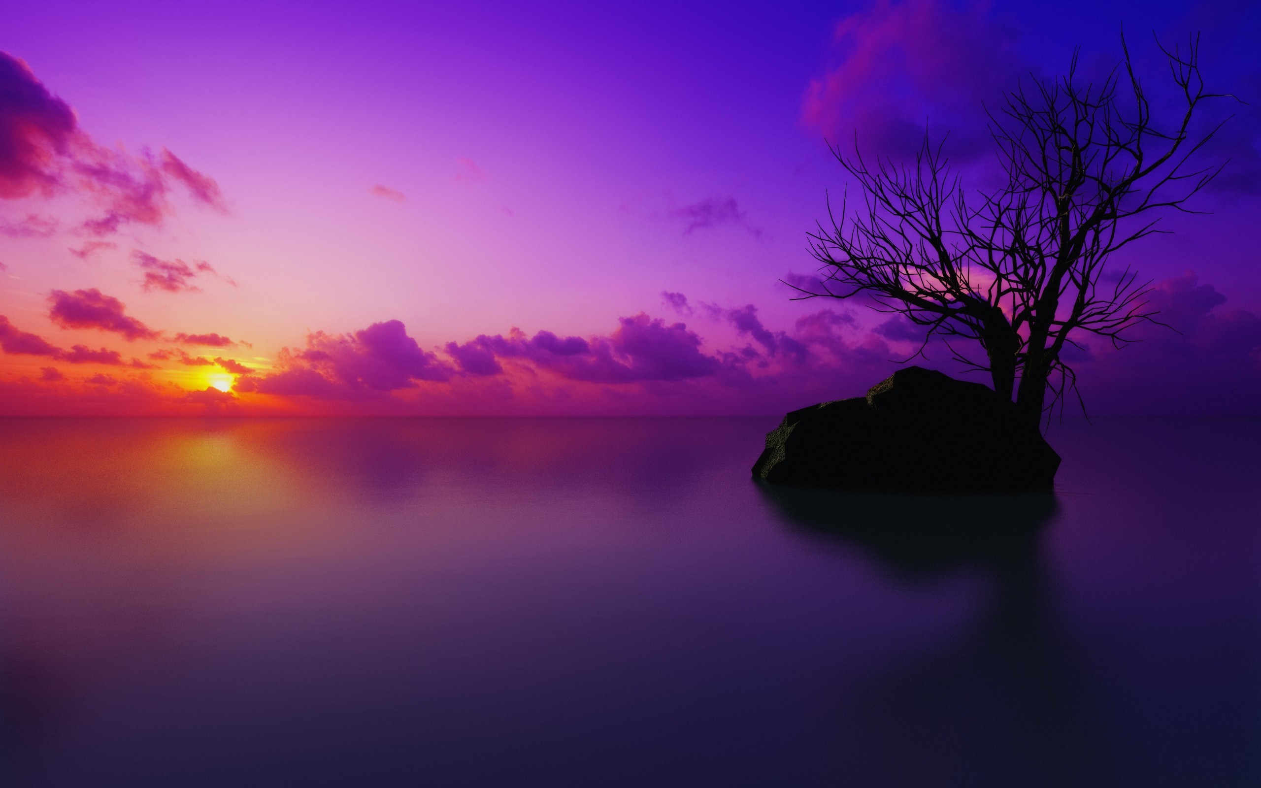 Purple Sunset Beach Wallpapers