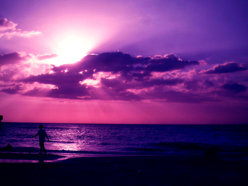 Purple Sunset Beach Wallpapers