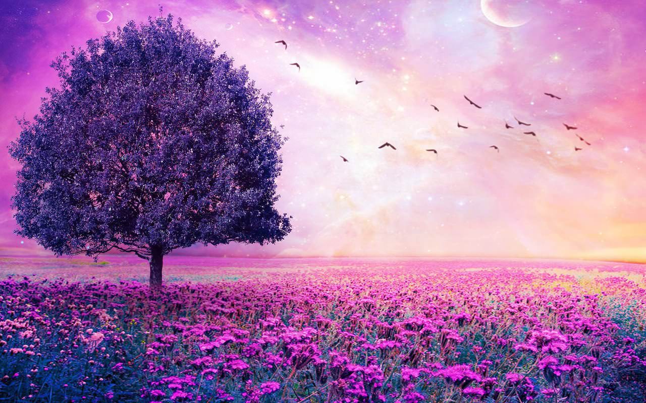 Purple Tree Wallpapers