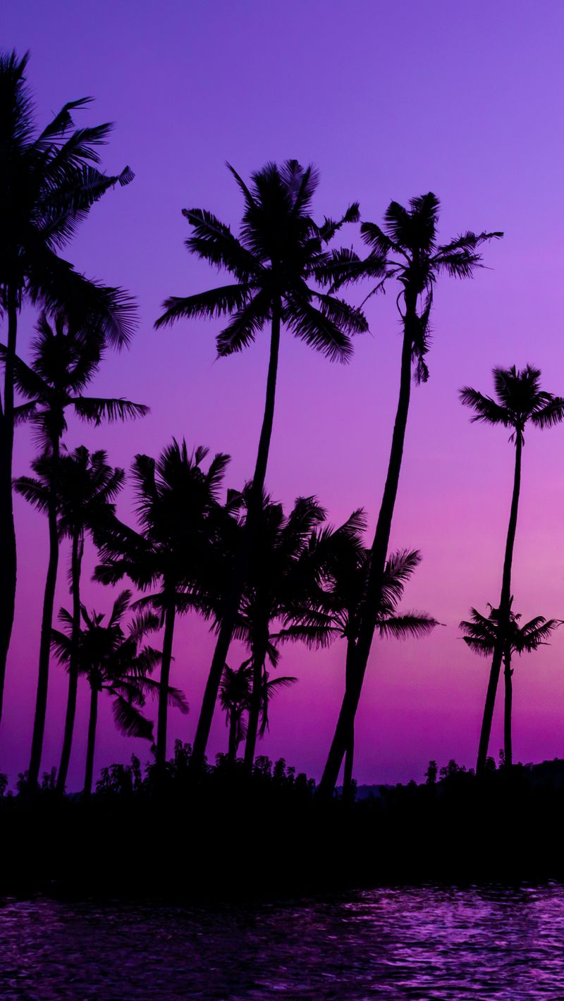 Purple Tree Wallpapers