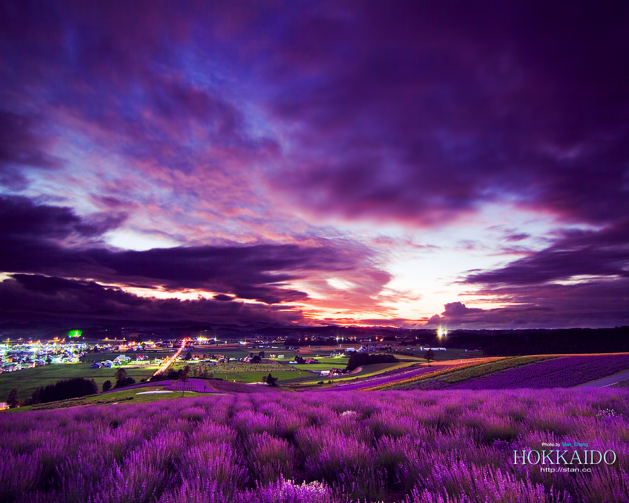 Purple World Wallpapers