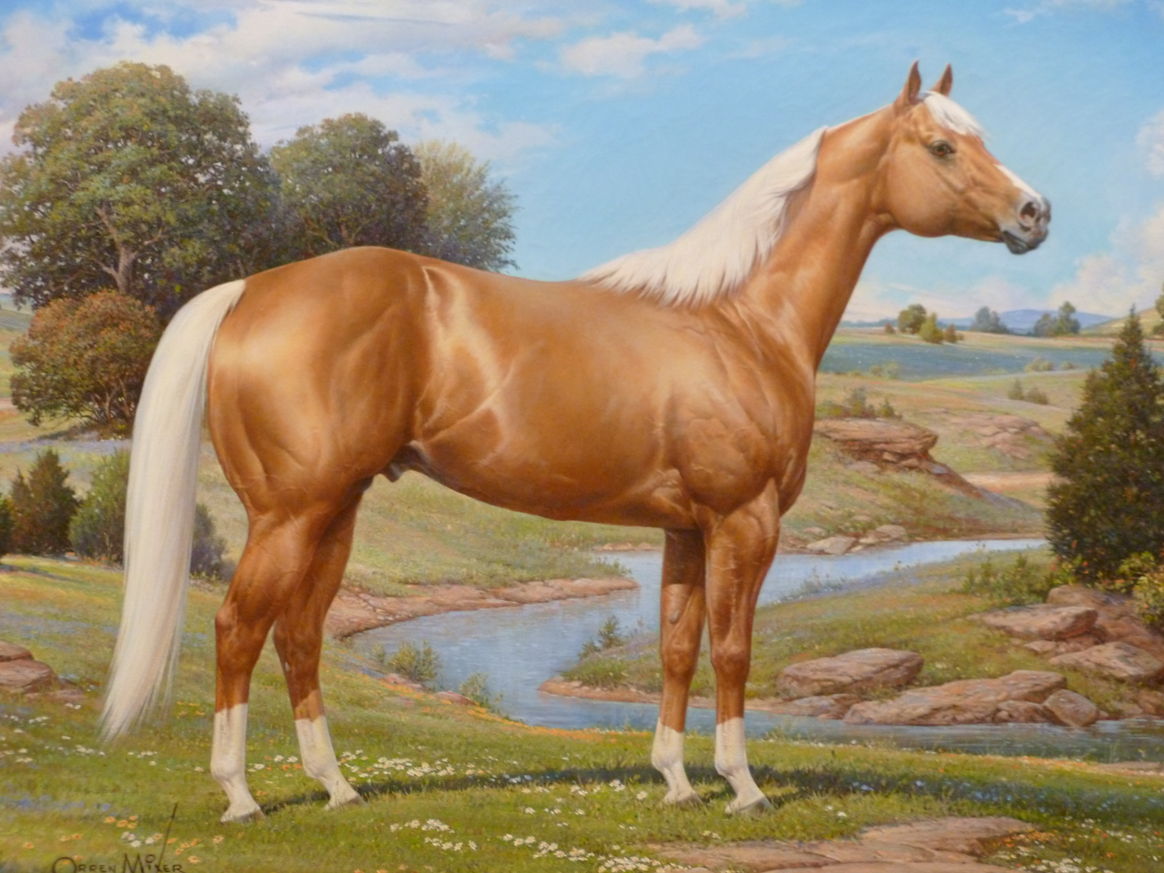 Quarter Horse Wallpapers