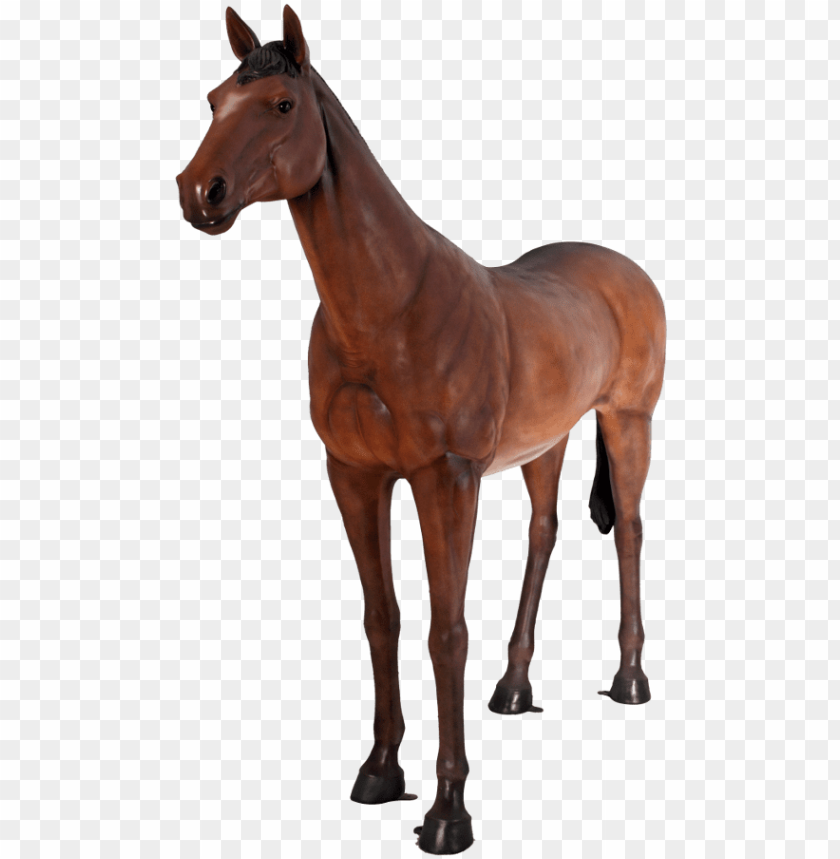 Quarter Horse Wallpapers