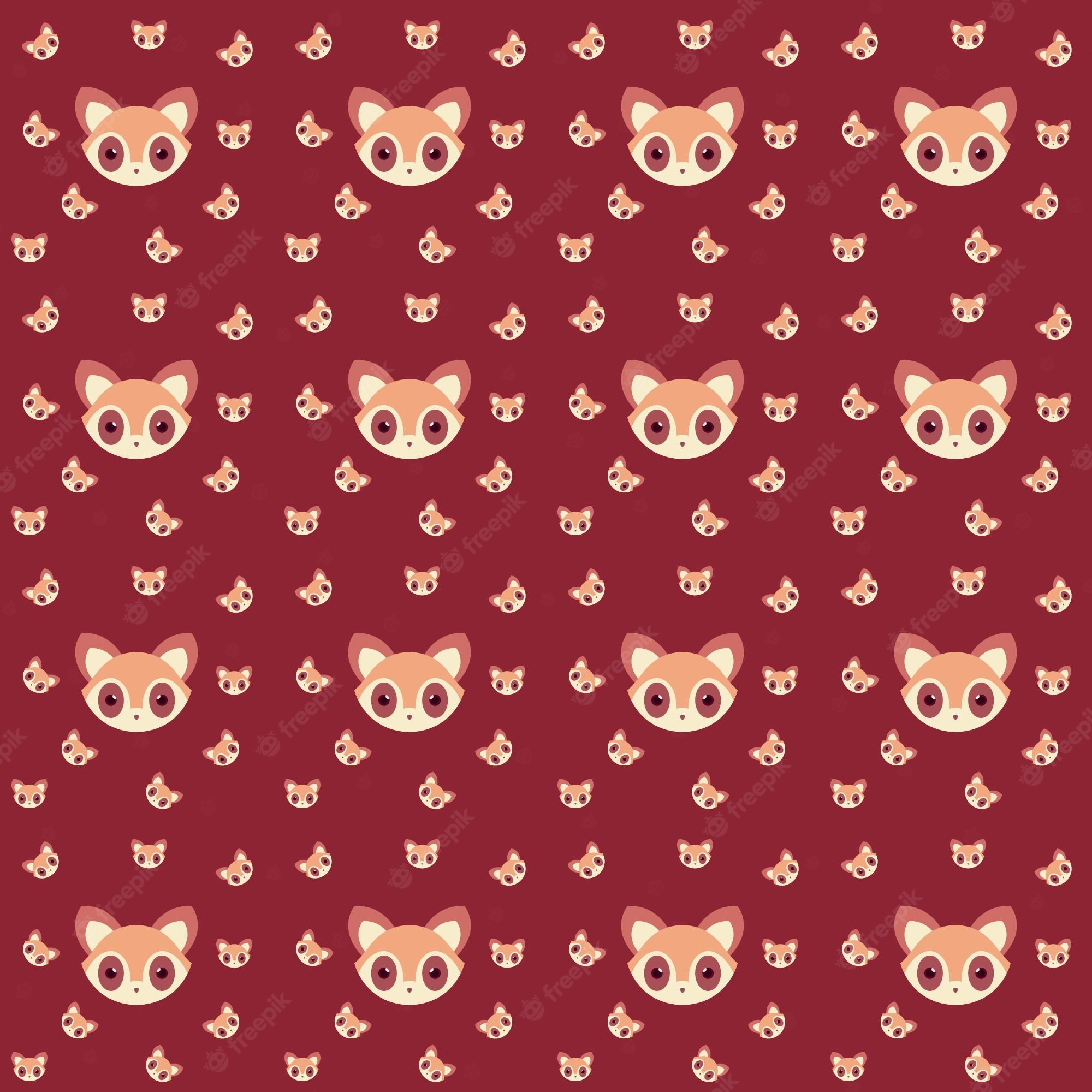 Raccoon Phone Wallpapers