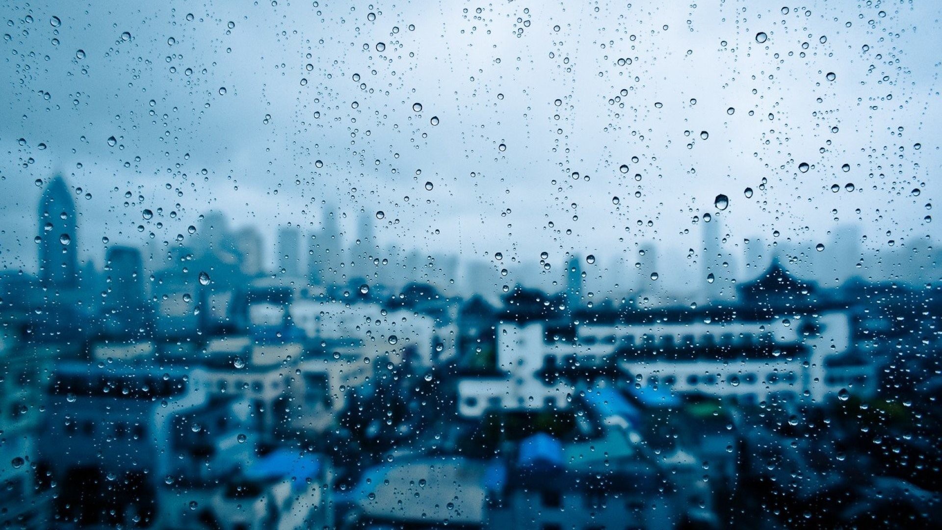 Rain Animated Wallpapers