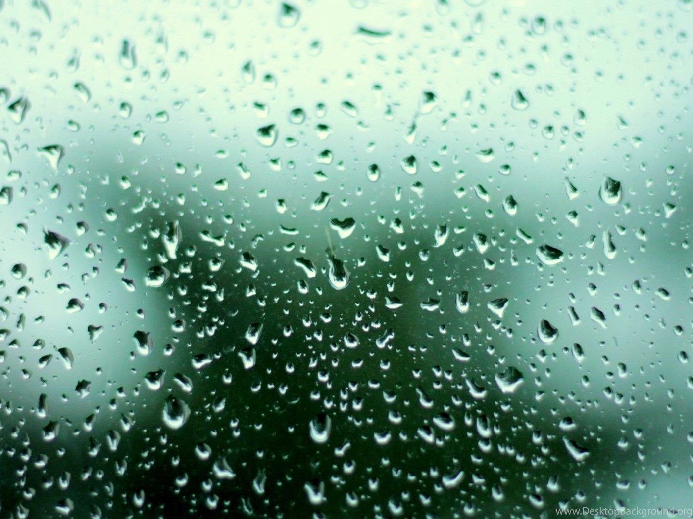 Rain Desktop Wallpapers