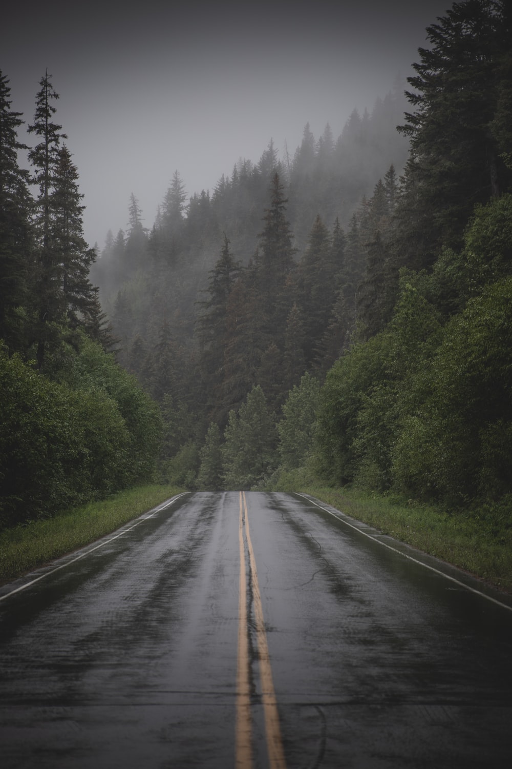 Rain Road Wallpapers