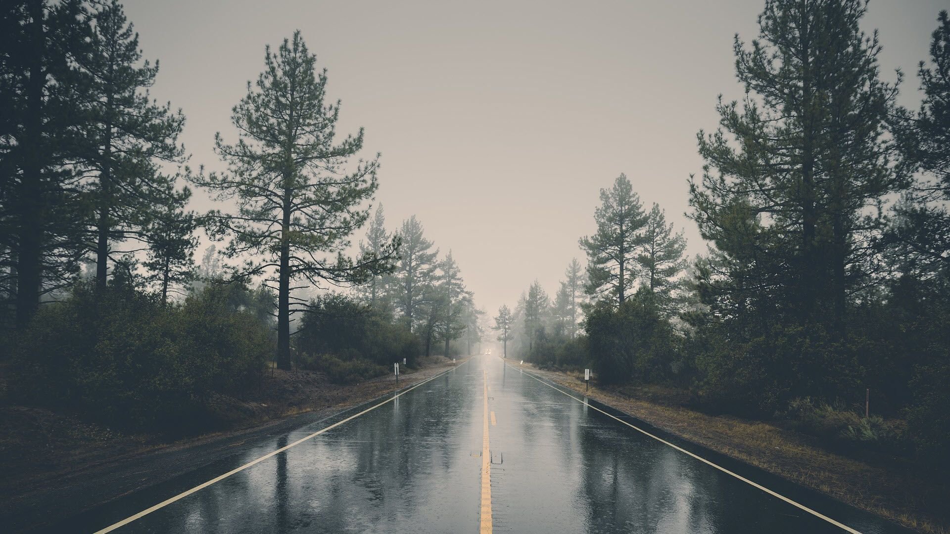 Rain Road Wallpapers