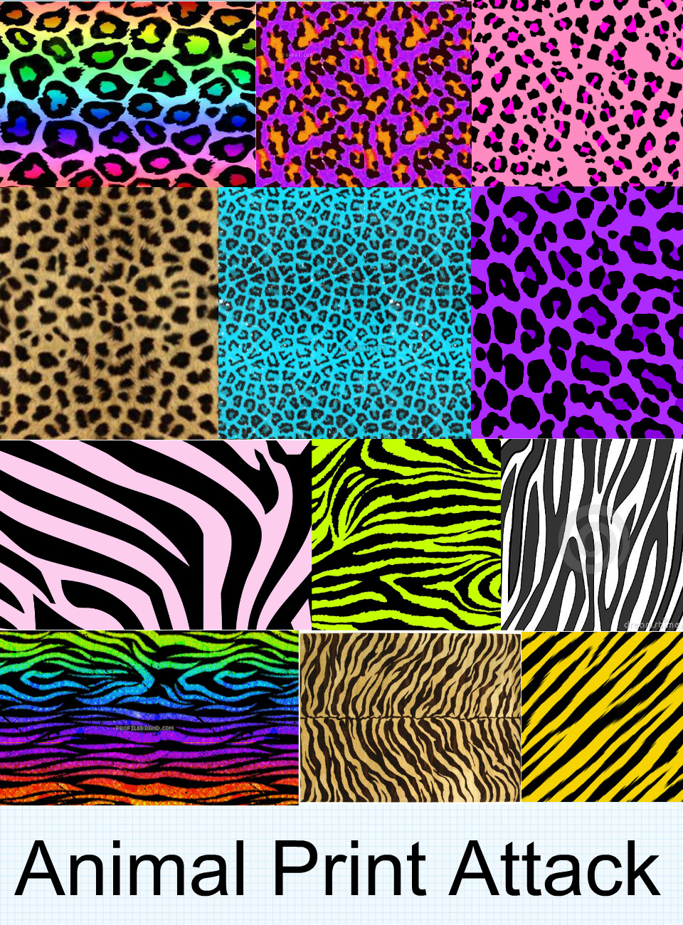 Rainbow Animals Wallpapers