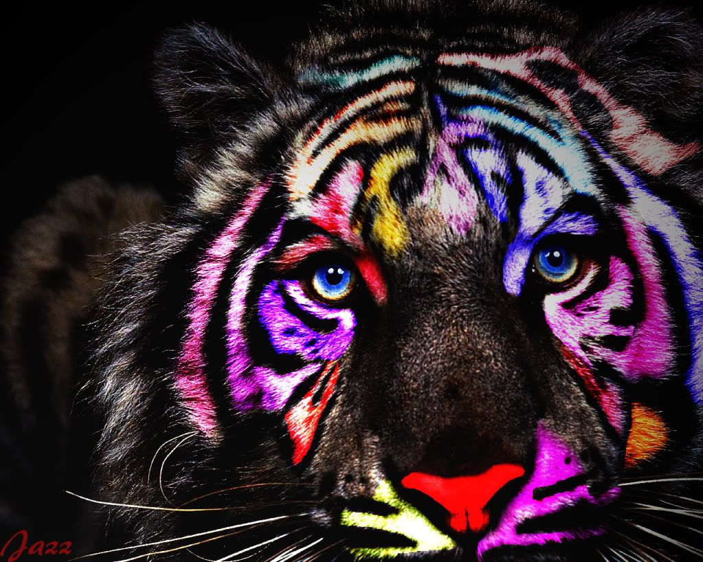 Rainbow Animals Wallpapers