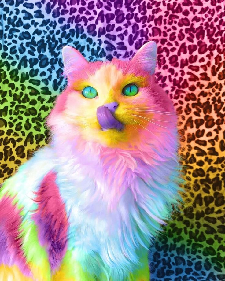 Rainbow Cat Wallpapers