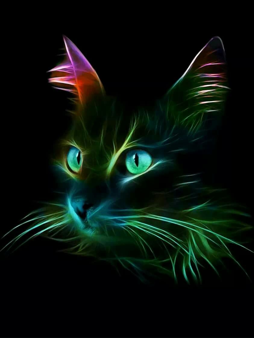 Rainbow Cat Wallpapers