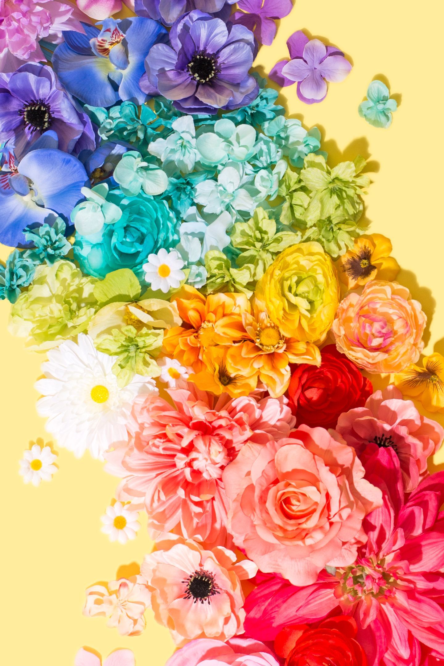 Rainbow Flowers Wallpapers