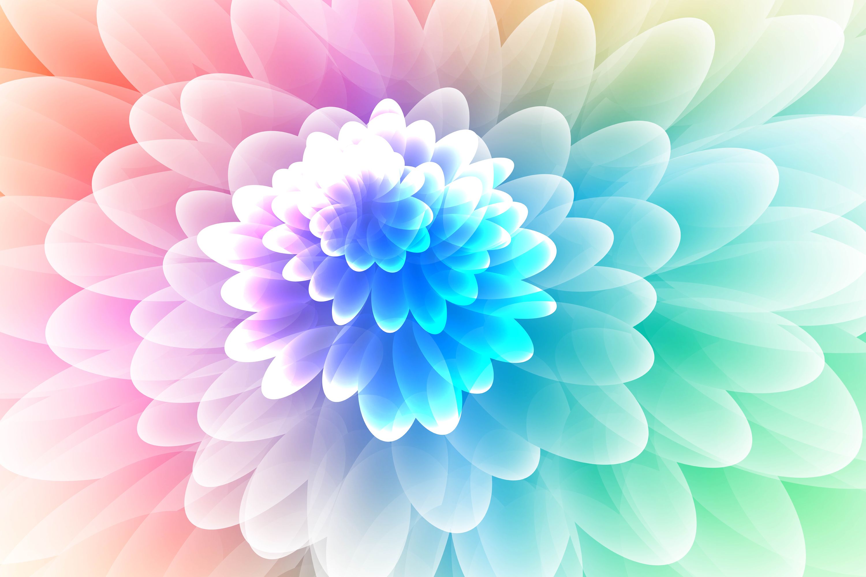 Rainbow Flowers Wallpapers