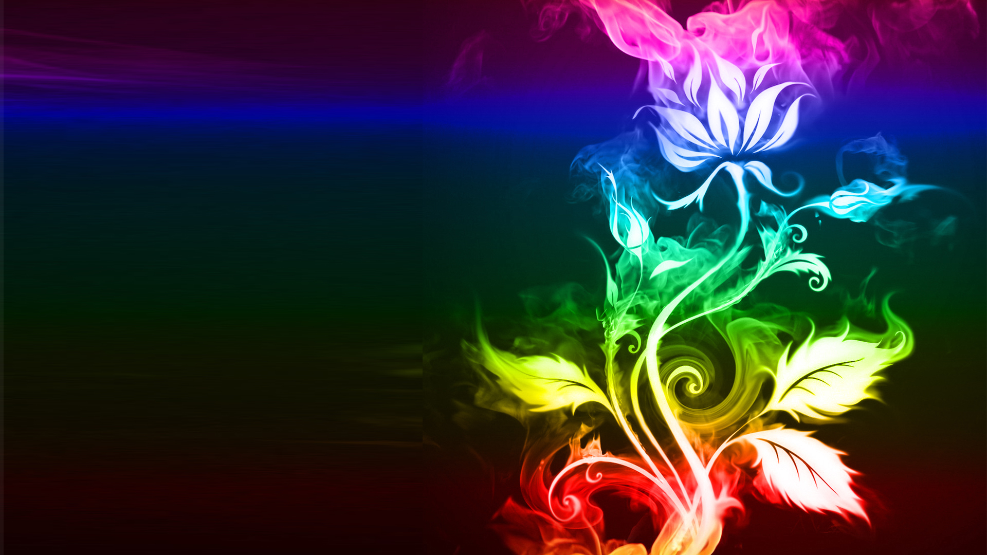 Rainbow Flowers Wallpapers