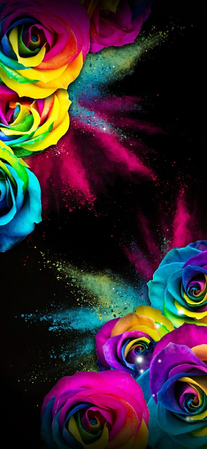 Rainbow Flowers Wallpapers