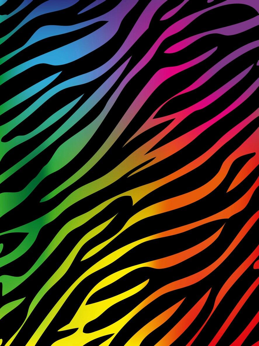 Rainbow Zebra Wallpapers
