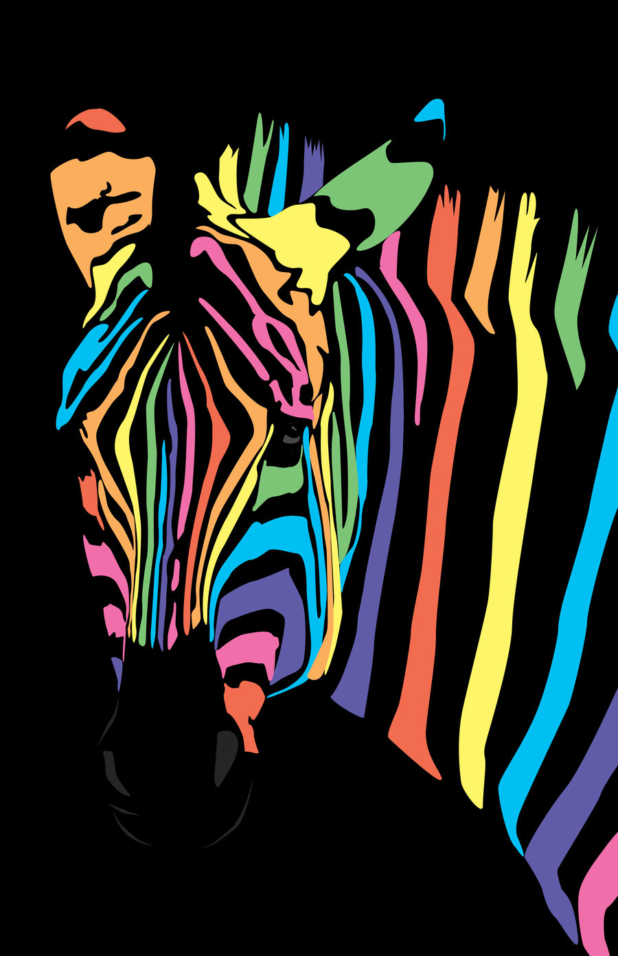 Rainbow Zebra Wallpapers