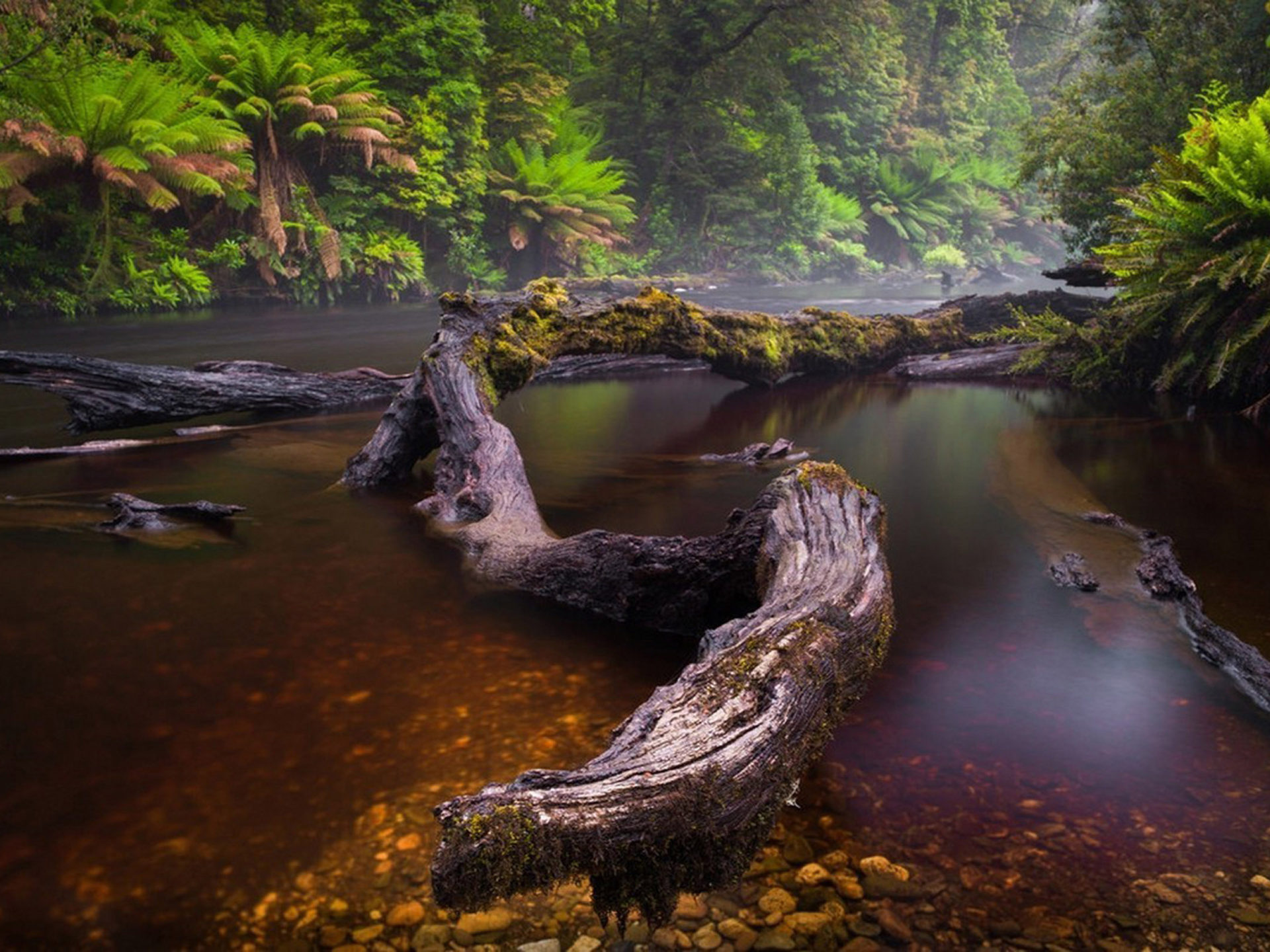 Rainy Countryside Wallpapers