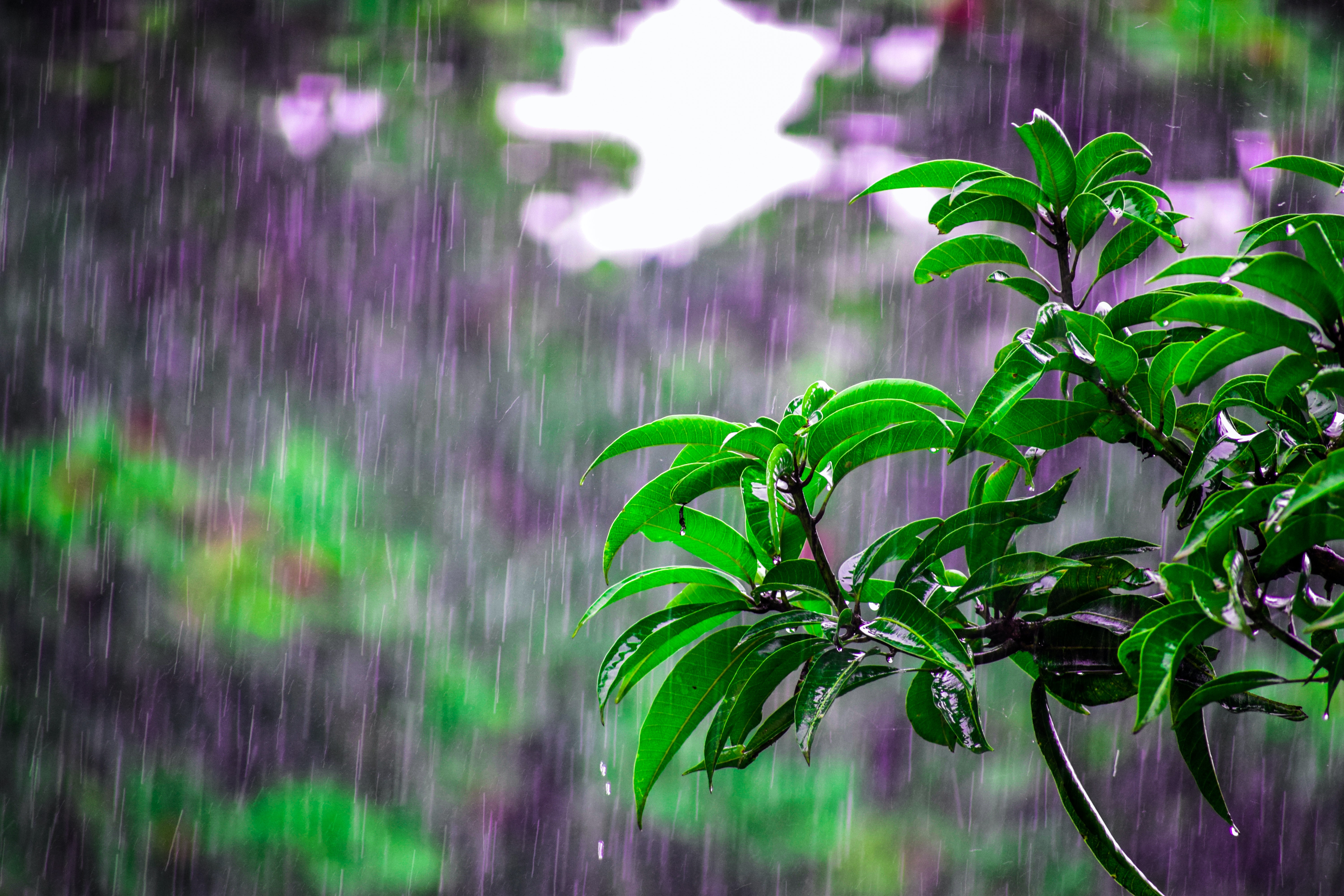 Rainy Day Desktop Wallpapers