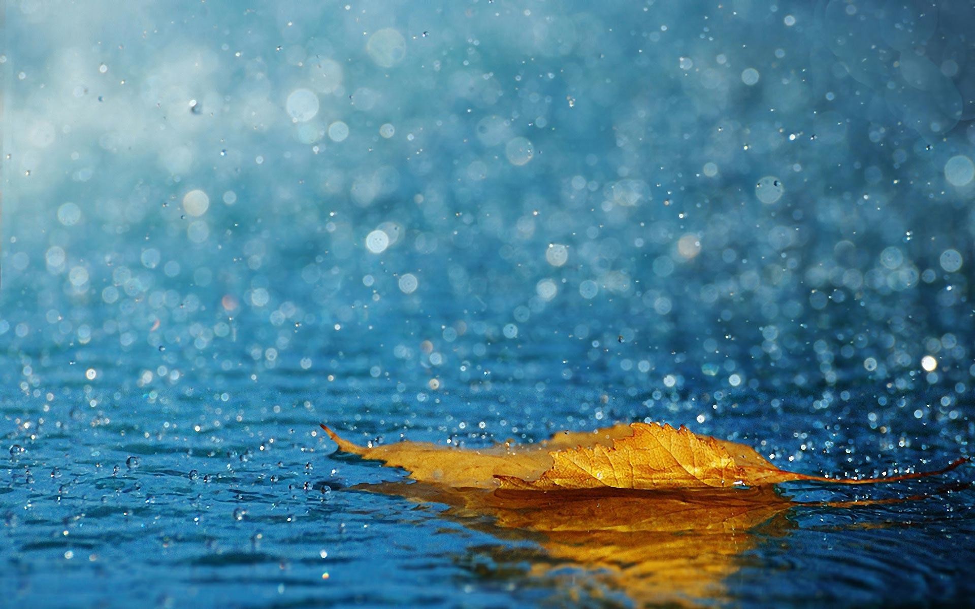 Rainy Scenery Wallpapers