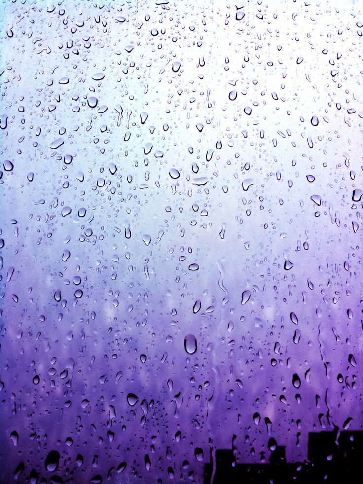 Rainy Spring Wallpapers