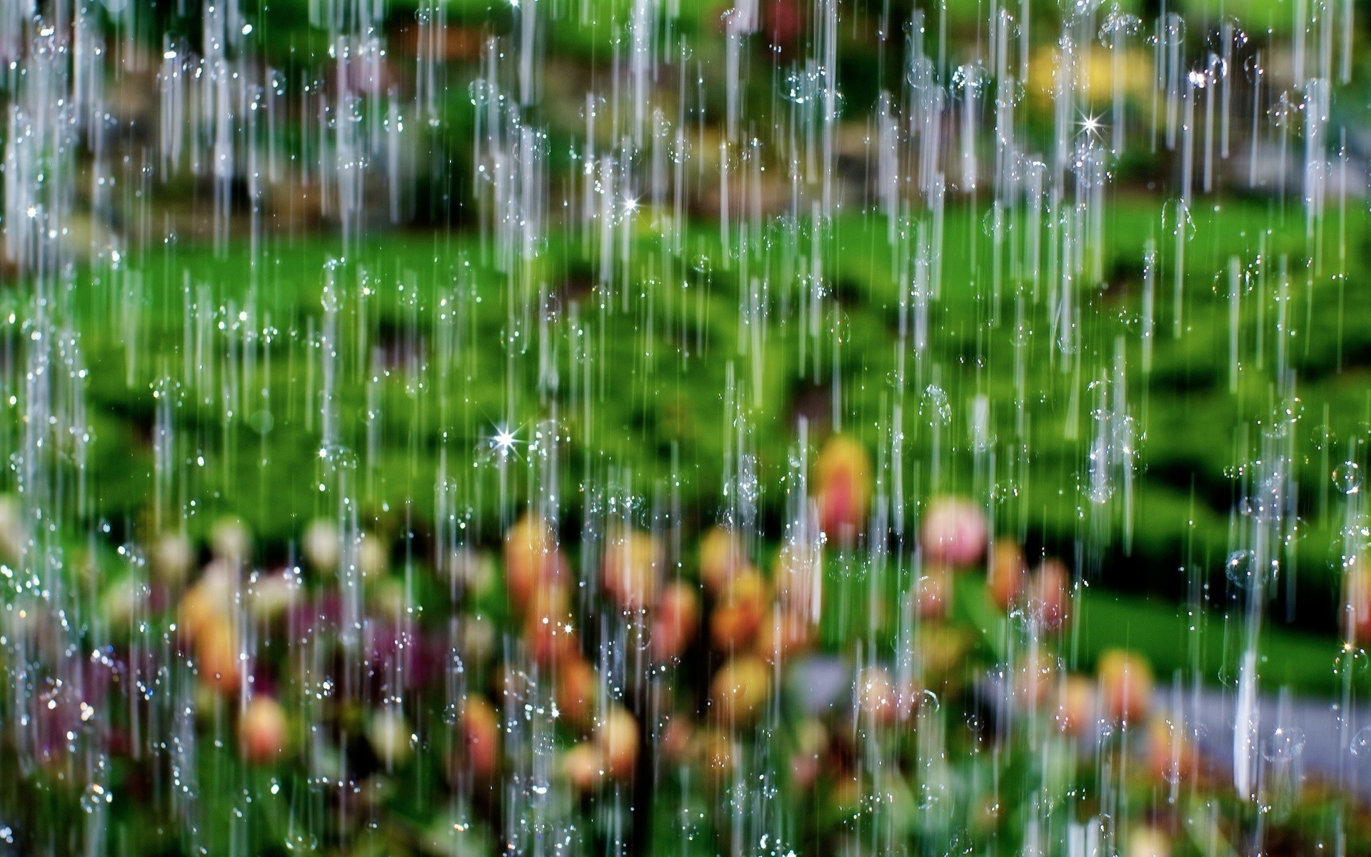 Rainy Spring Wallpapers