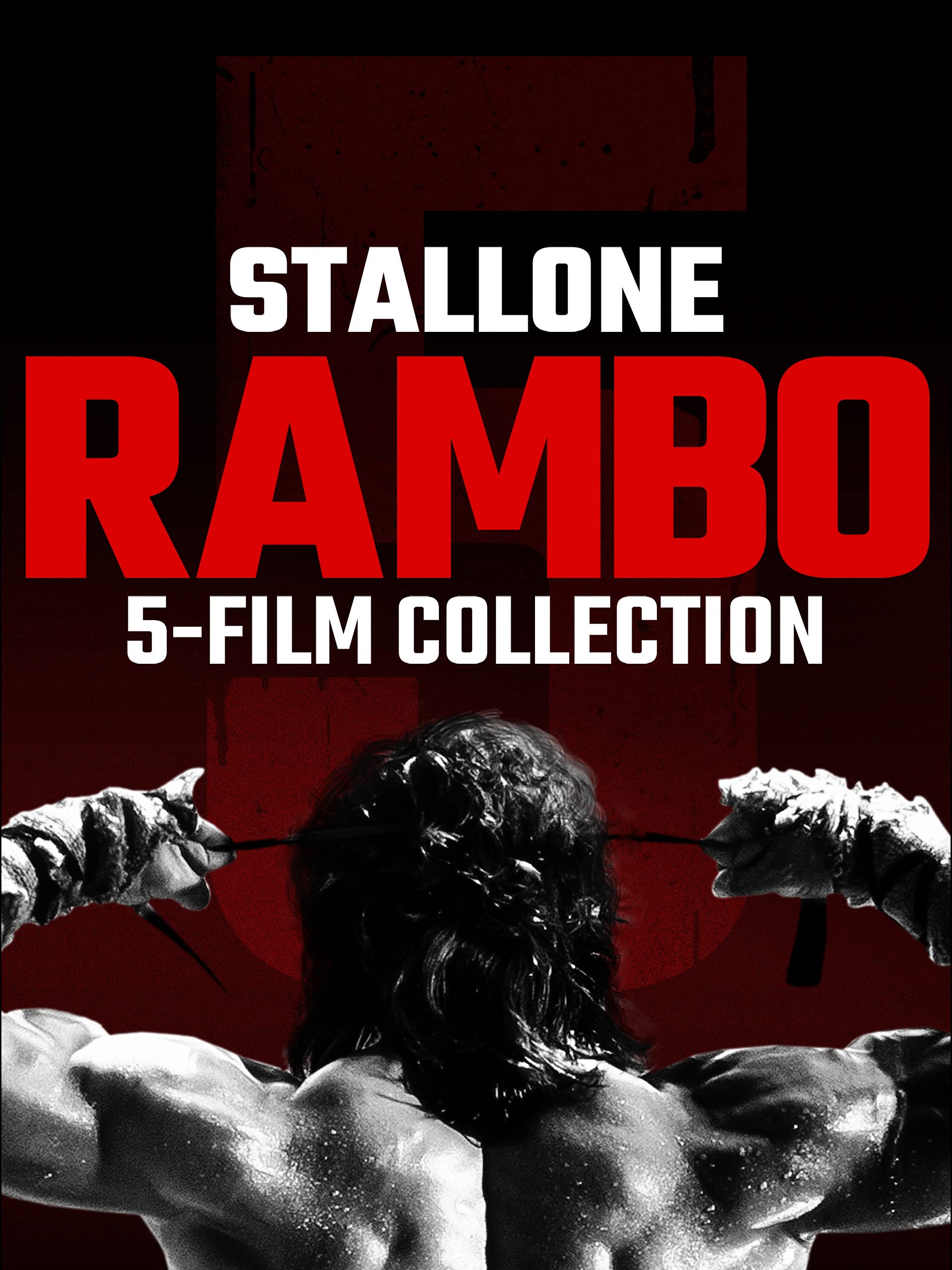 Rambo 4 Poster Wallpapers