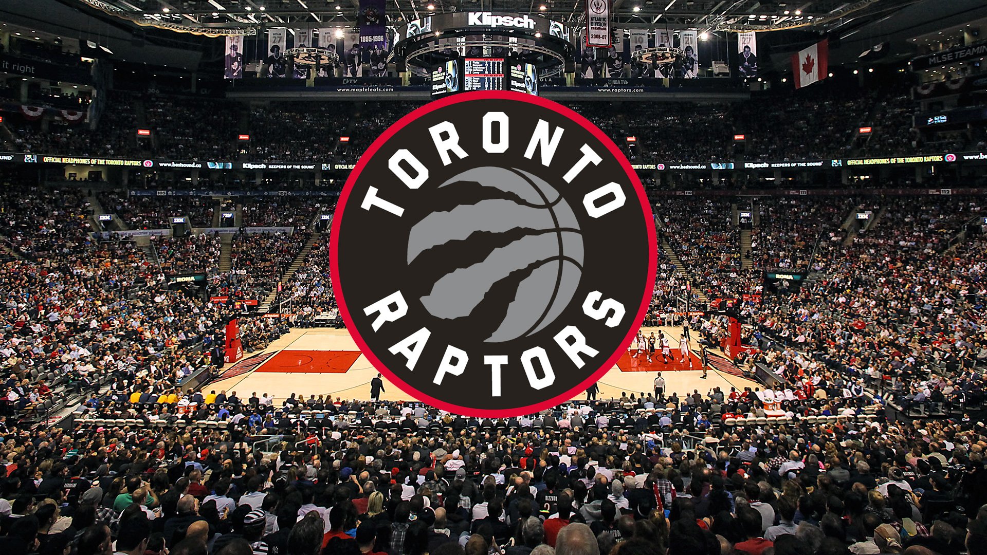 Raptors Hd Wallpapers