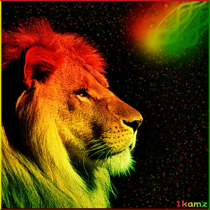 Rastafari Lion Wallpapers