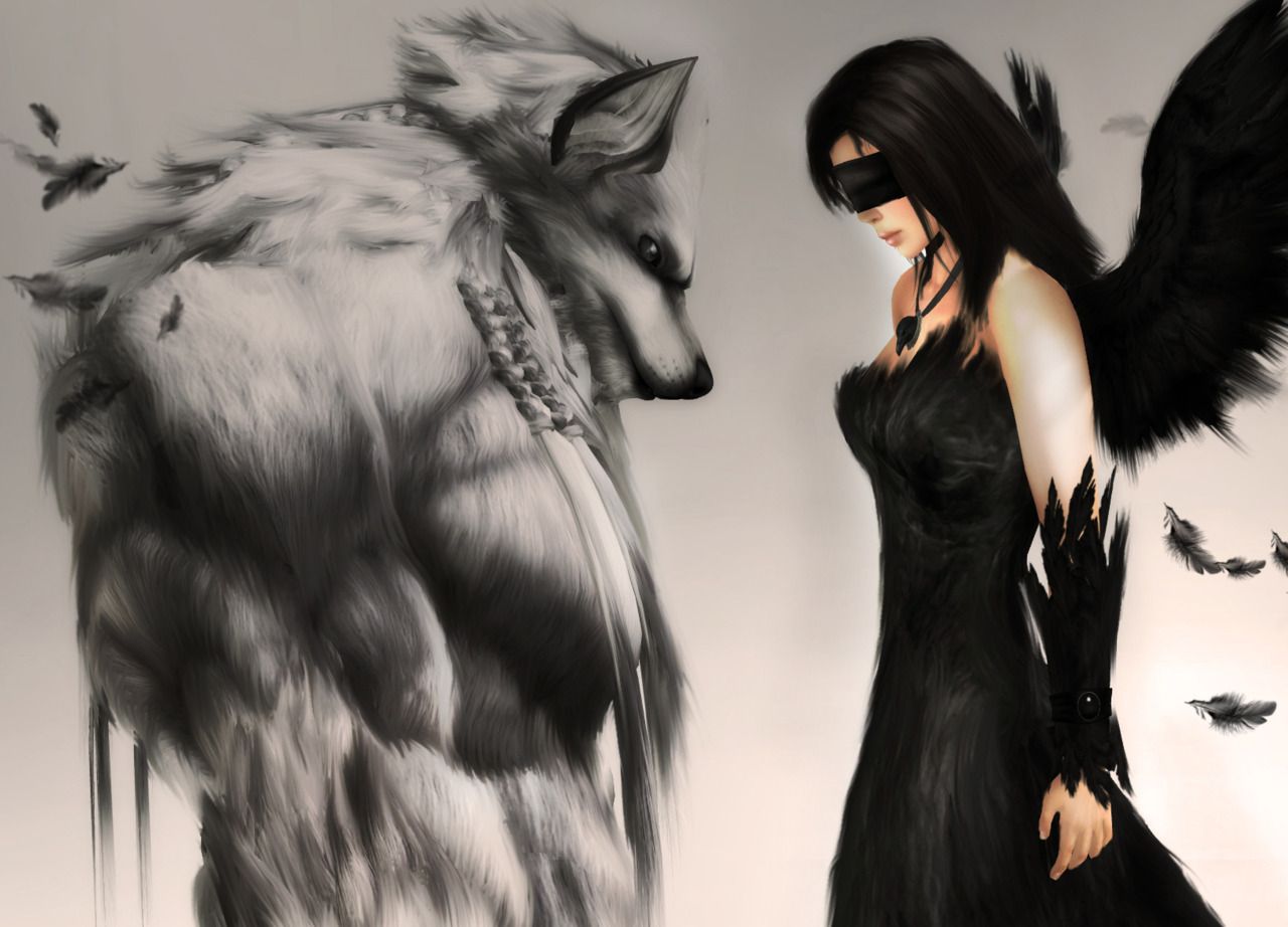 Raven And Wolf Wallpapers