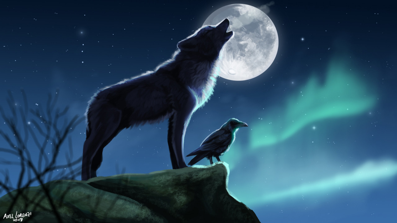 Raven And Wolf Wallpapers