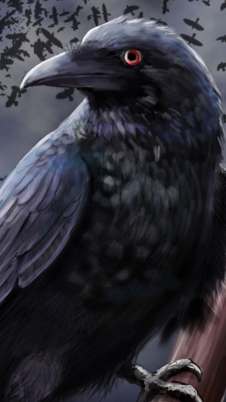 Raven Iphone Wallpapers