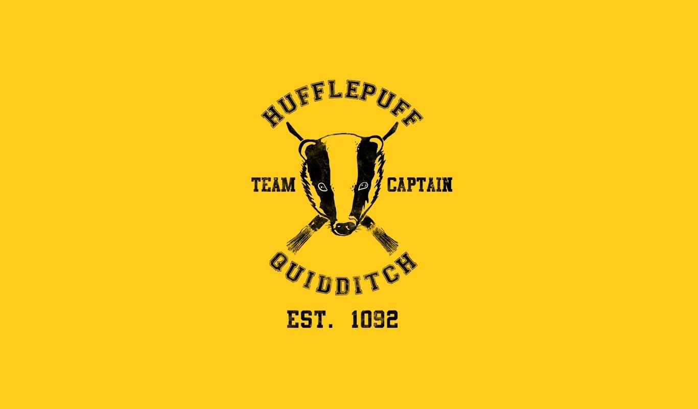 Ravenclaw Quidditch Wallpapers
