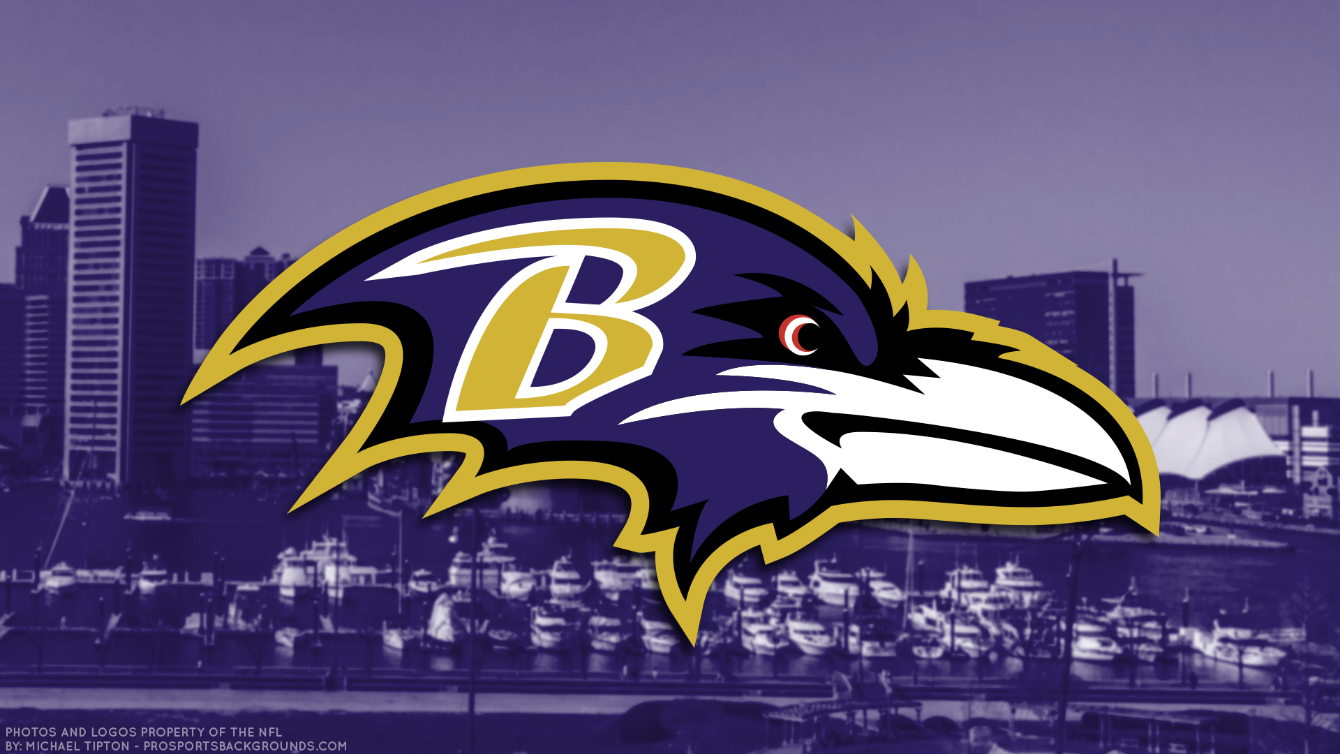 Ravens Wallpapers