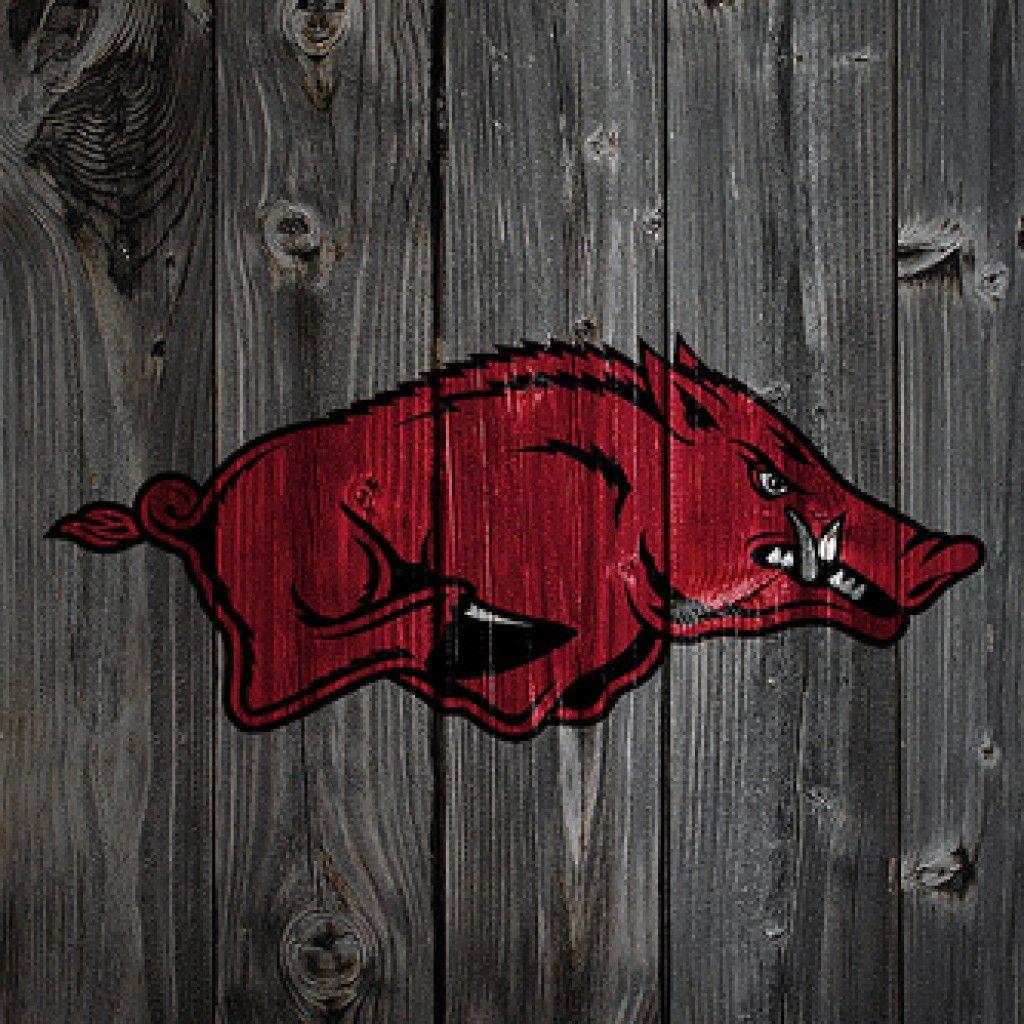 Razorback Wallpapers