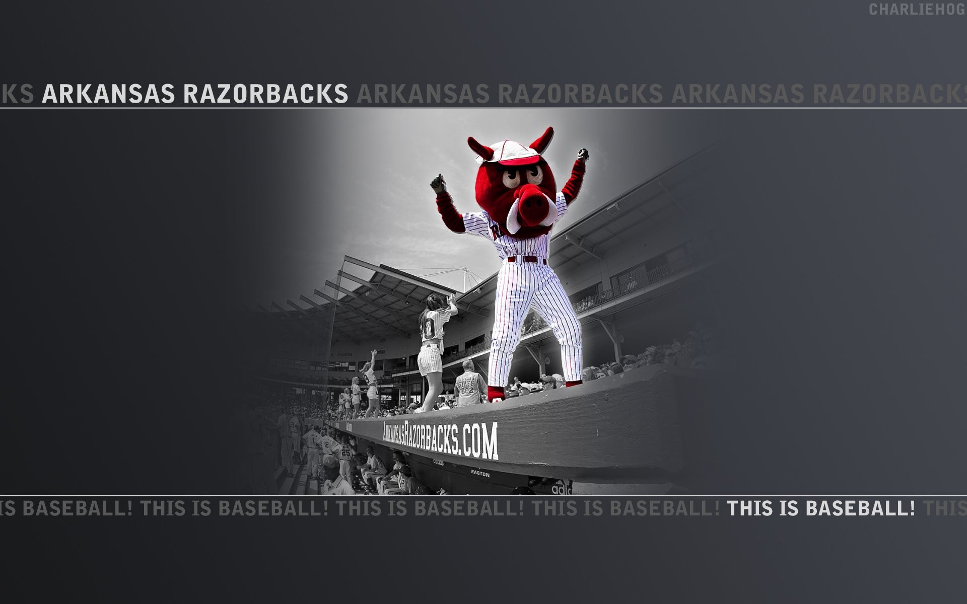 Razorback Wallpapers