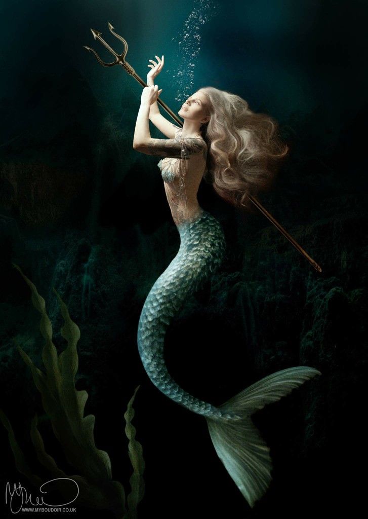 Real Mermaid Photos Wallpapers