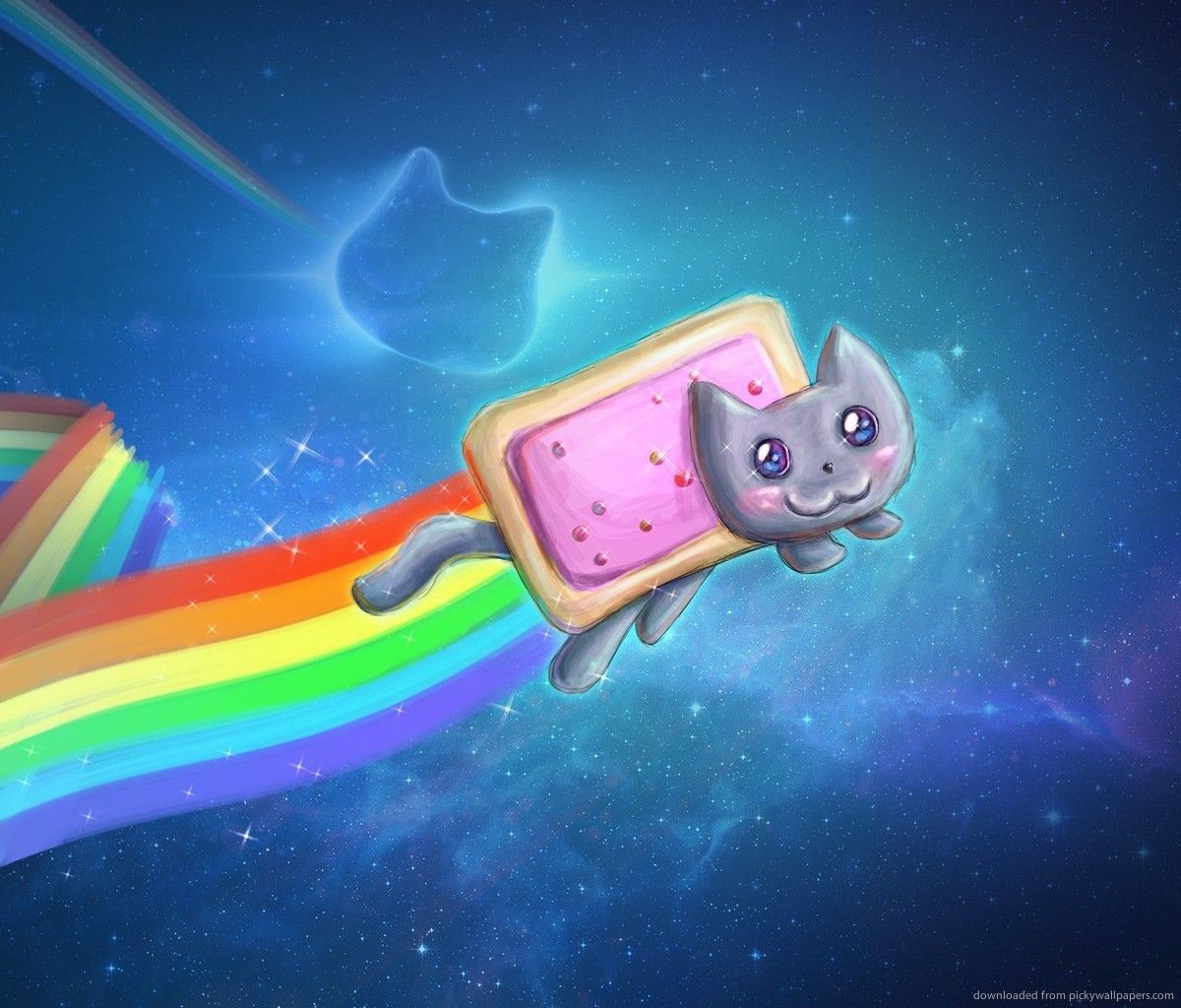 Real Rainbow Cat Wallpapers