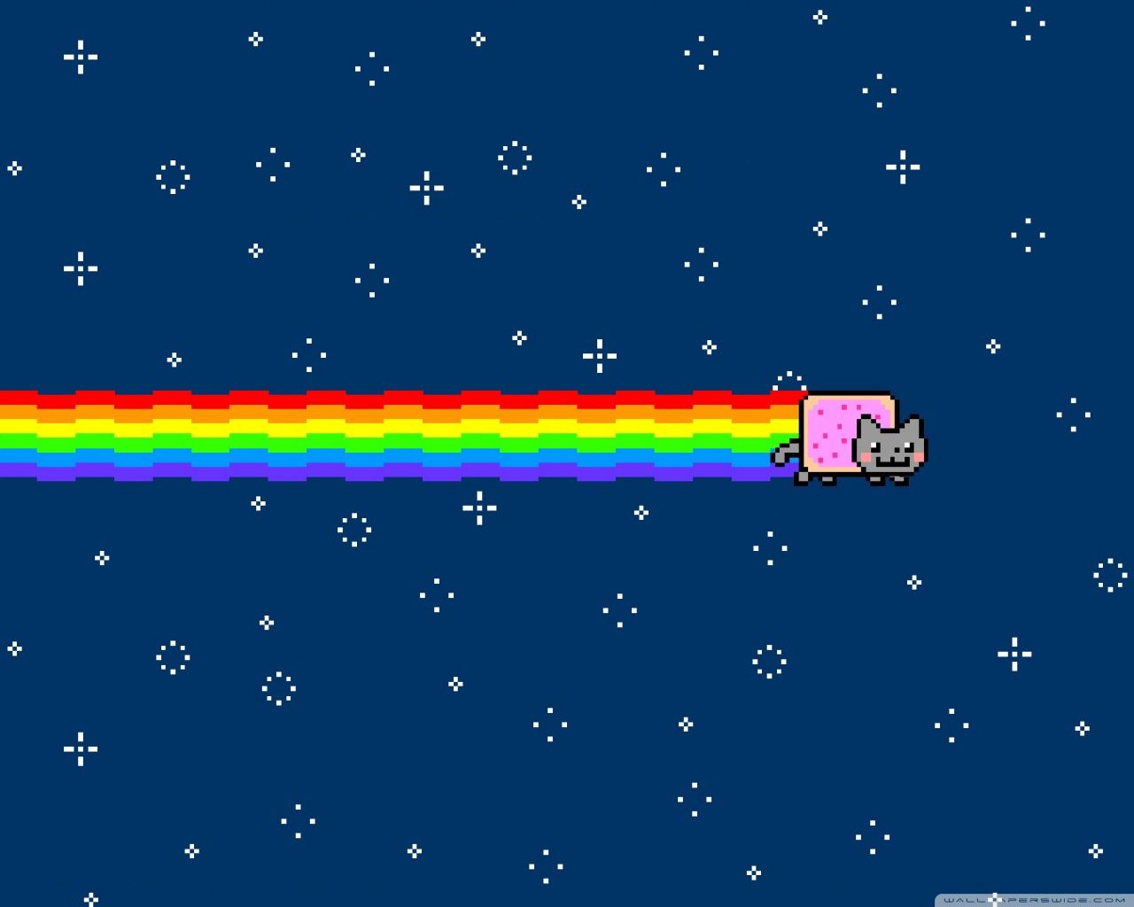 Real Rainbow Cat Wallpapers