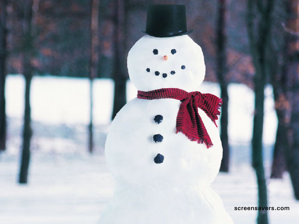 Real Snowman Wallpapers