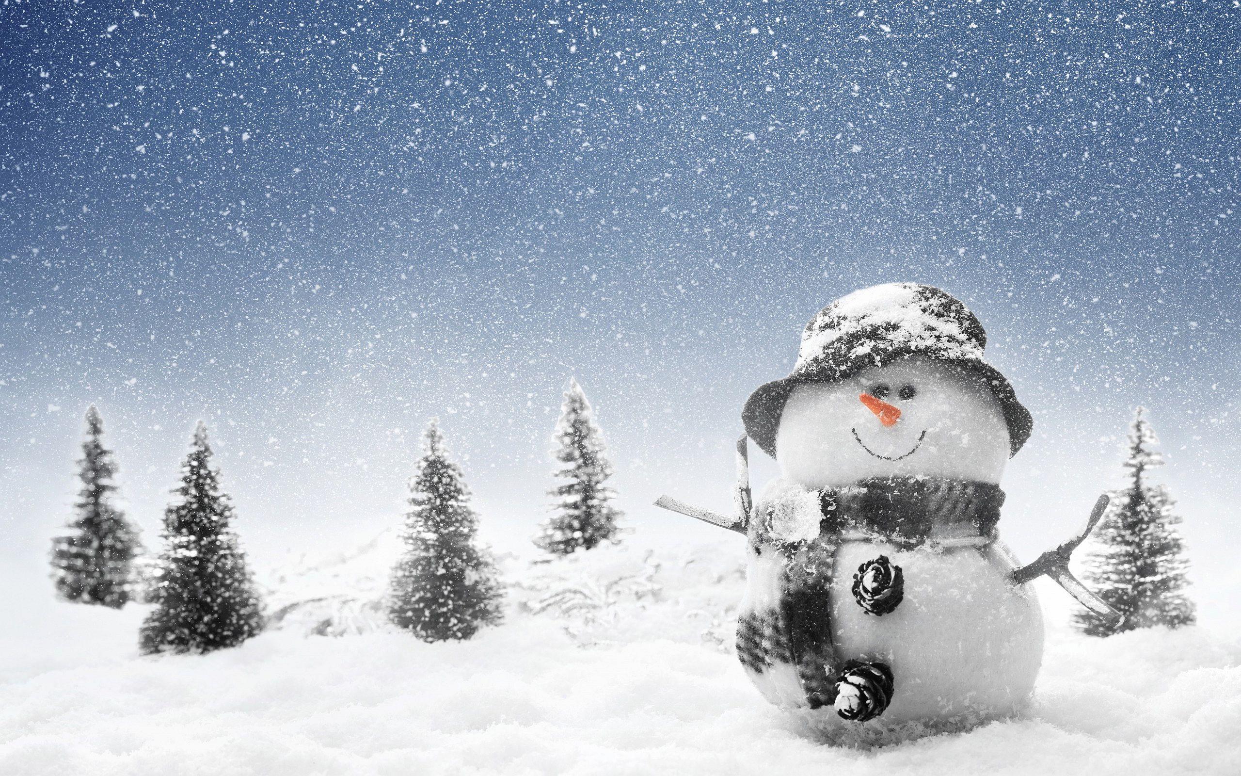 Real Snowman Wallpapers