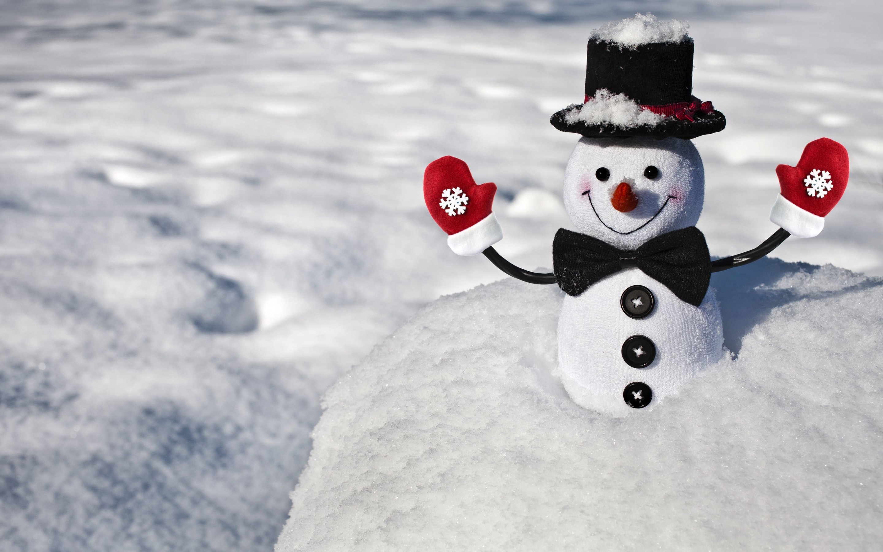 Real Snowman Wallpapers