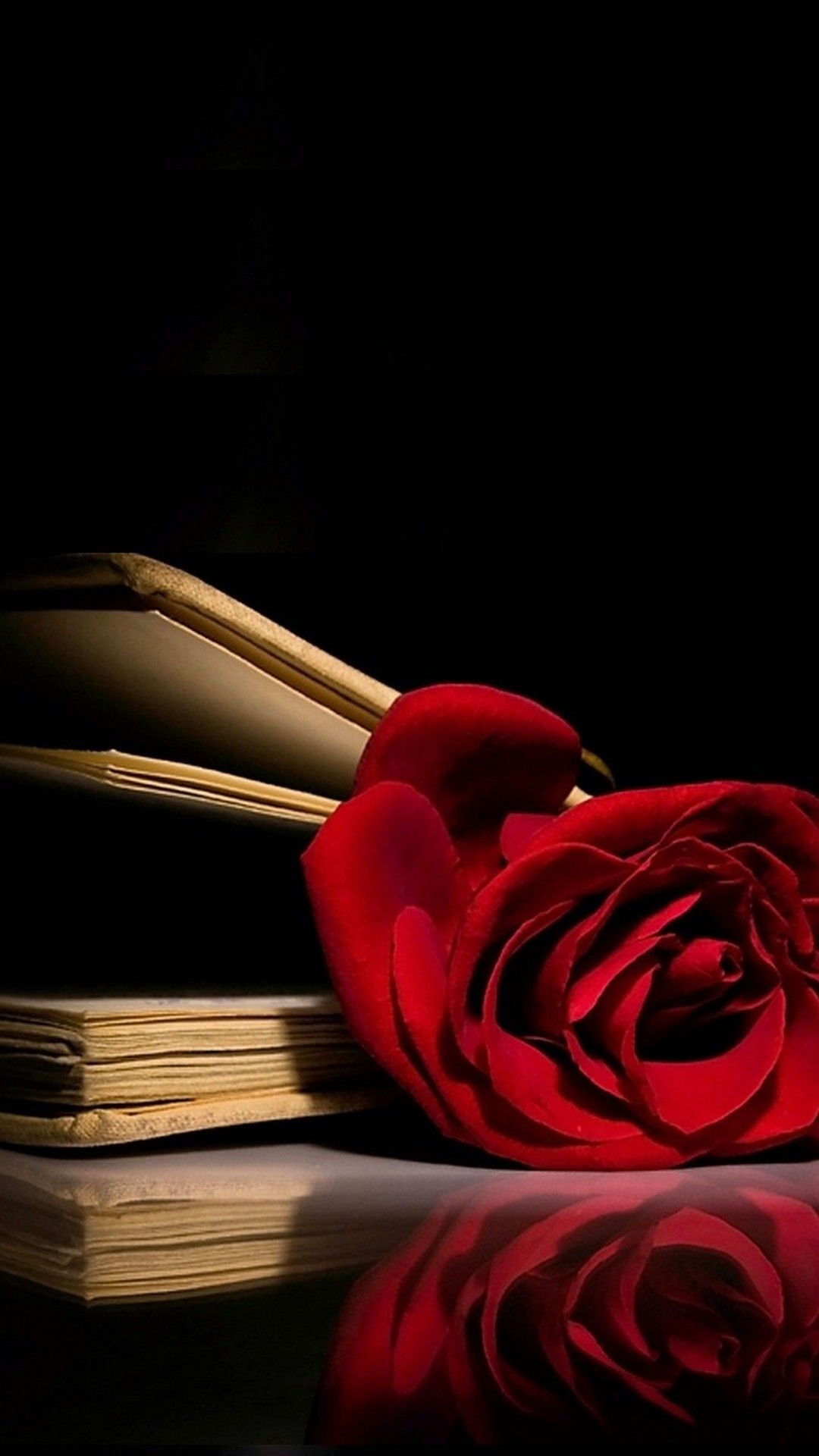 Red Roses Iphone Wallpapers