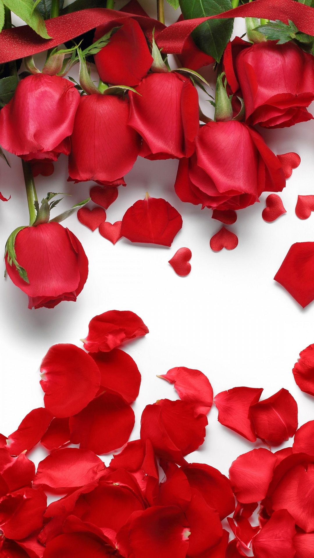 Red Roses Iphone Wallpapers