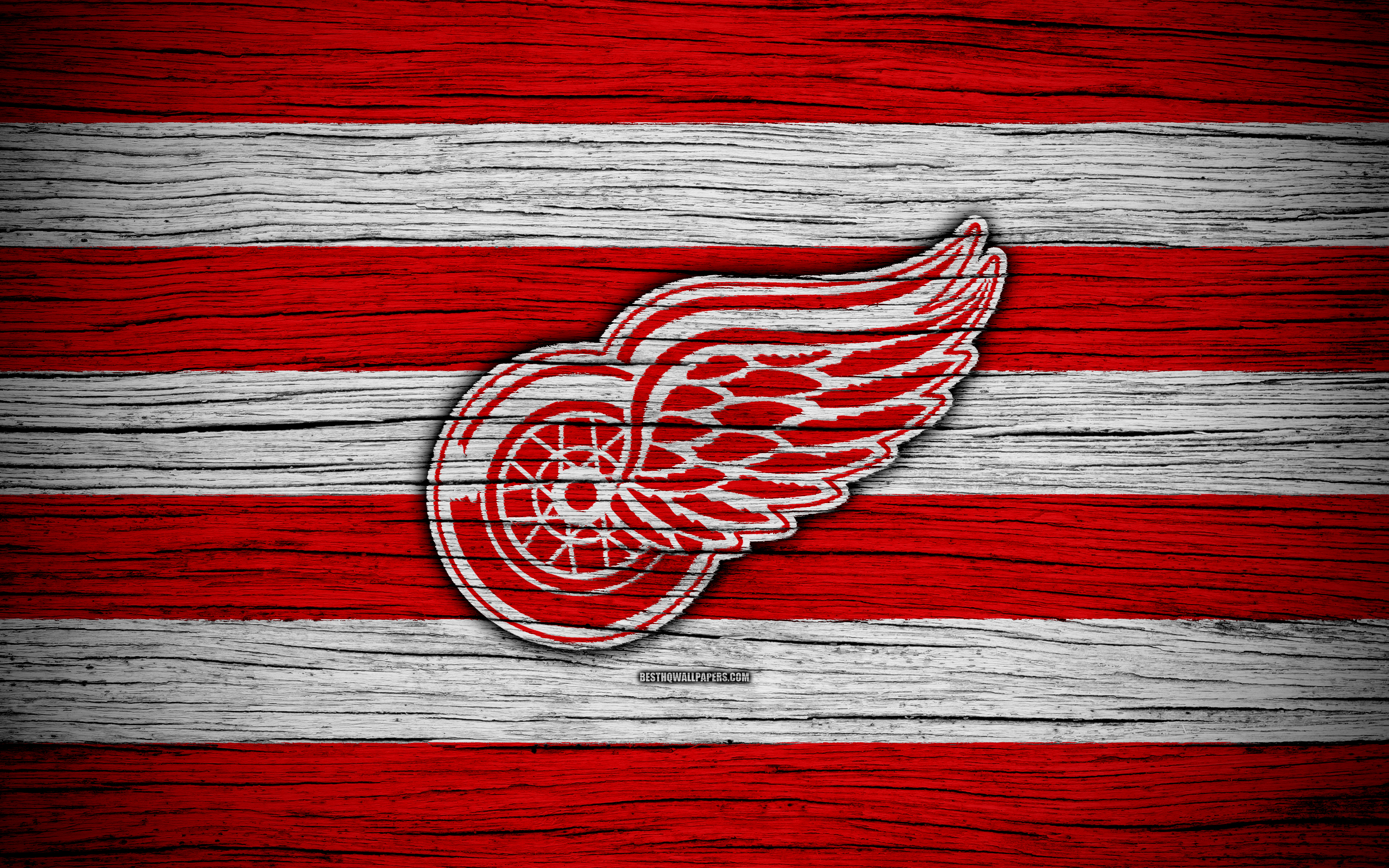 Red Wings Wallpapers