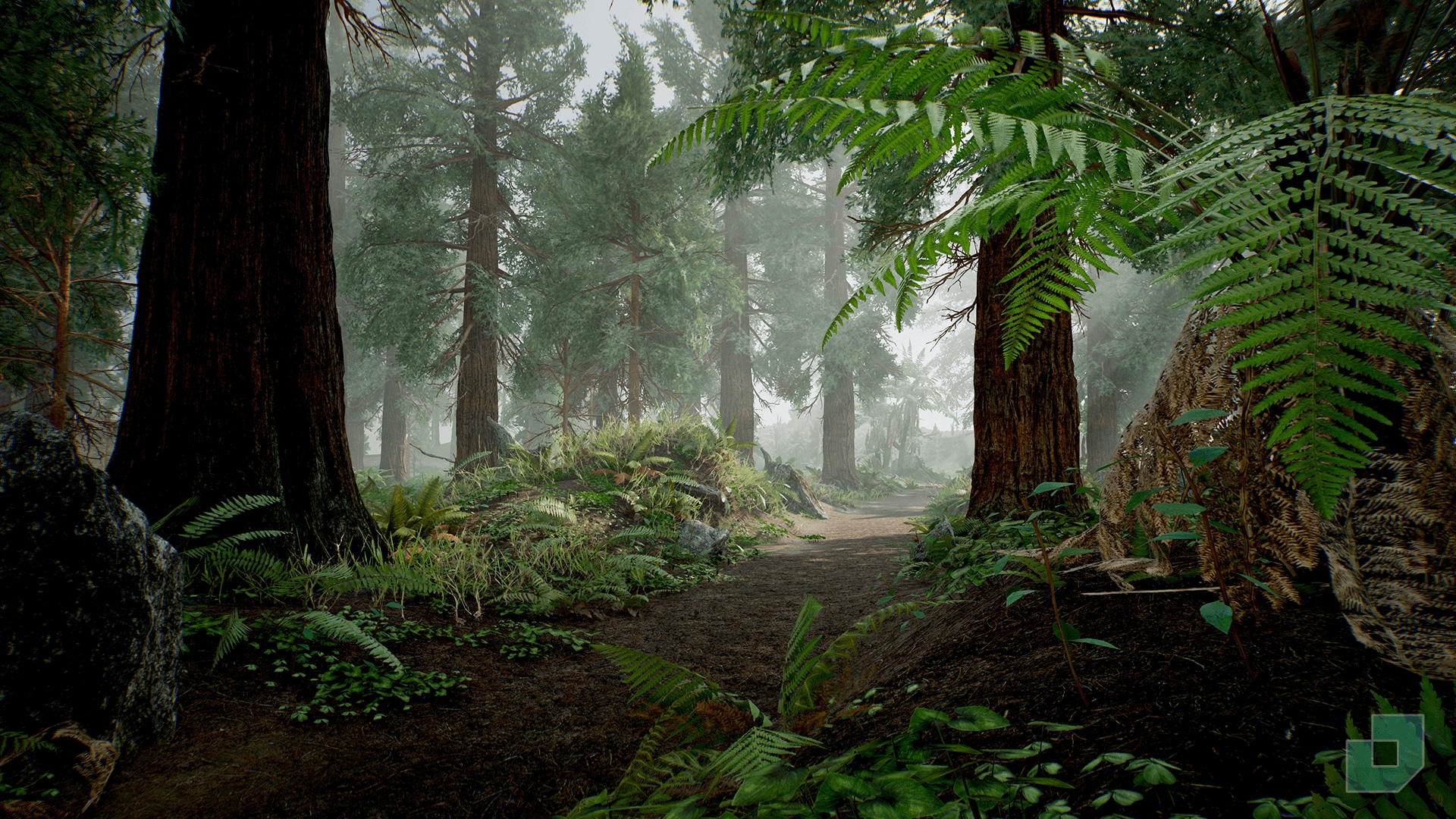 Redwood Forest 4K Wallpapers