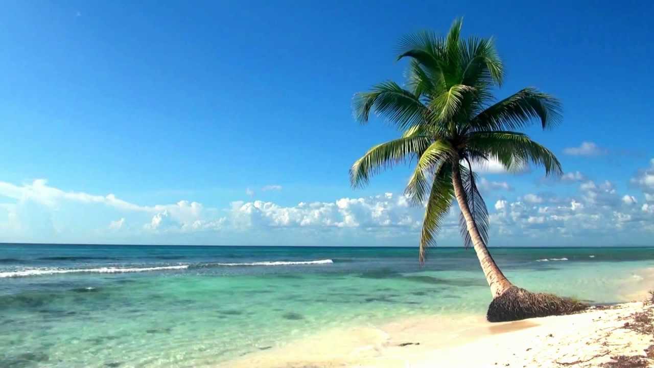 Relaxing Live Wallpapers